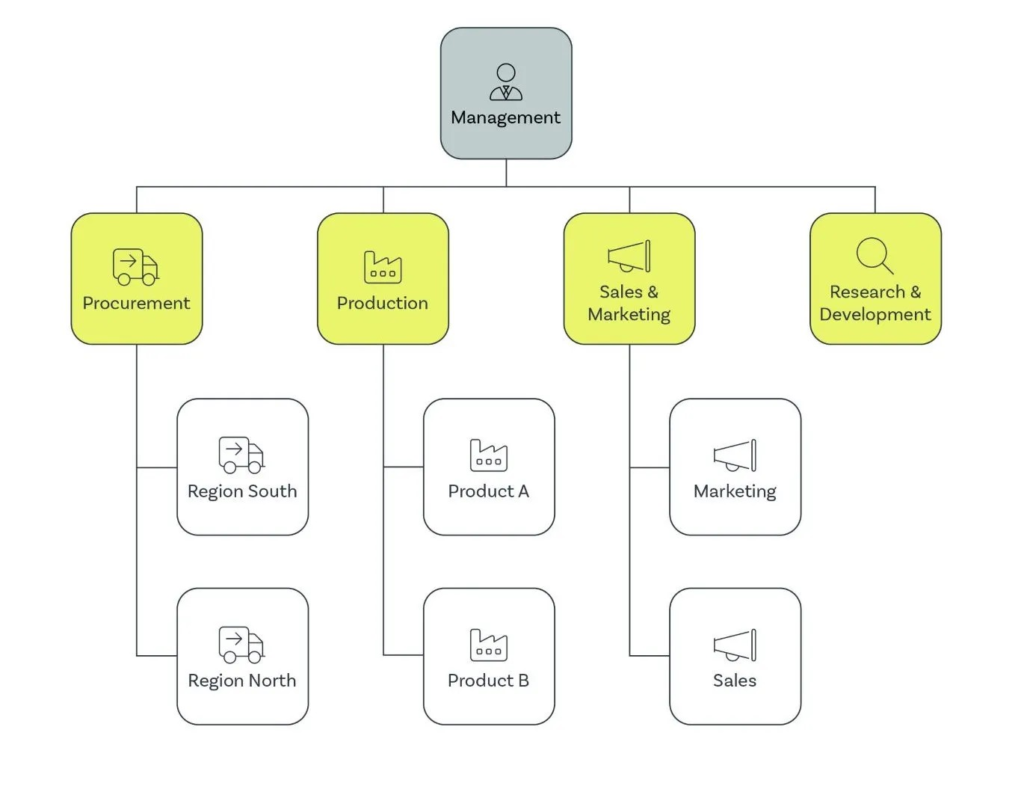 Example of a functional organizational structure