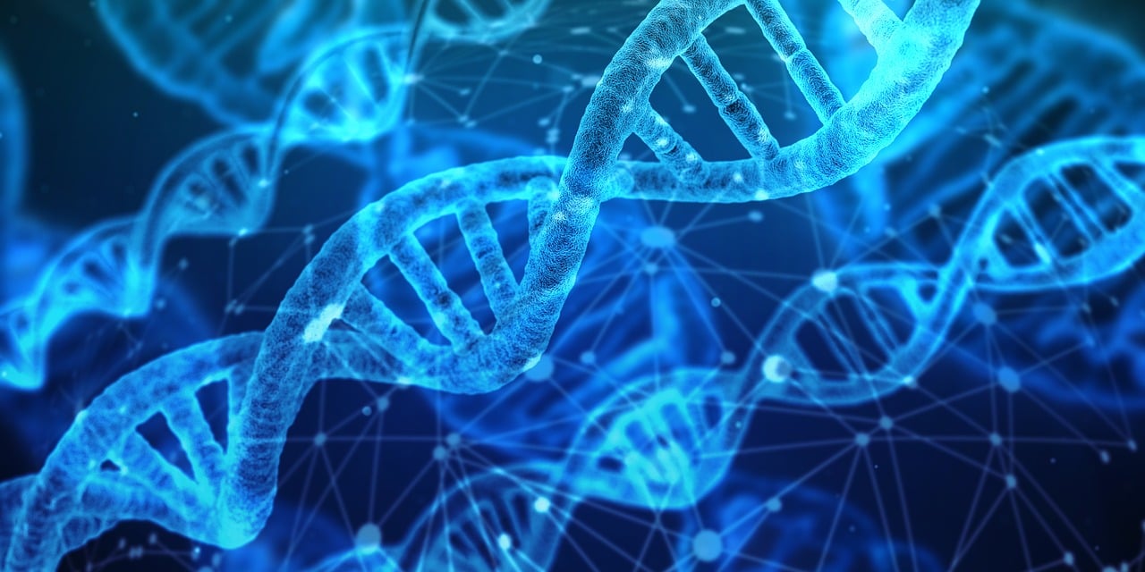 Inspiriert von der DNA, kombiniert das McKinsey-Helix-Modell zwei verschiedene, parallele Verantwortlichkeitslinien – Wertschöpfung und Fähigkeiten.