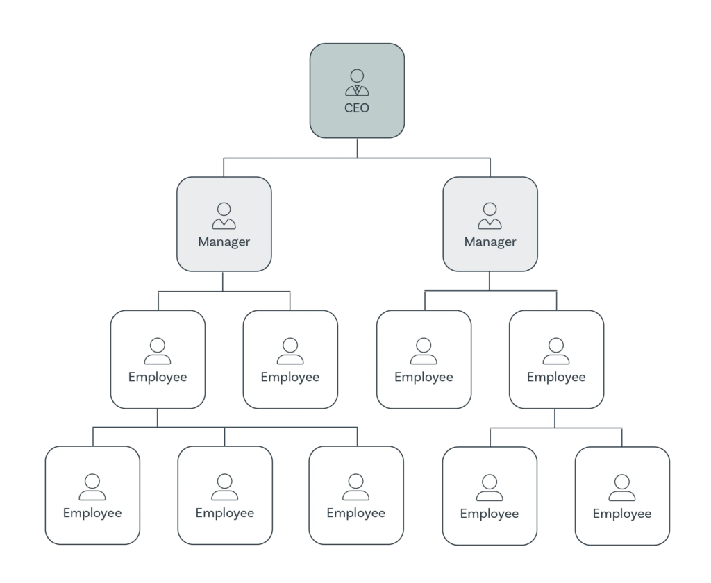 Example of a hierarchical organization chart