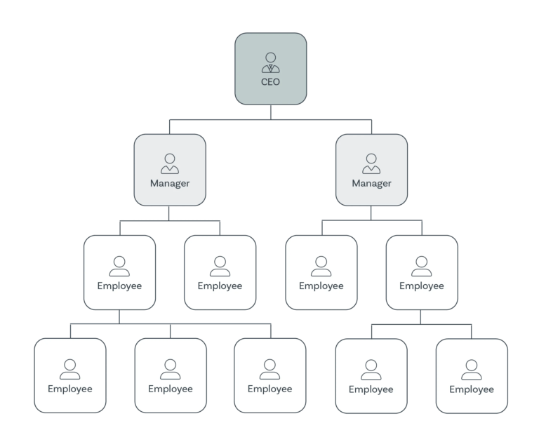 What is an Org Chart: Definition & Structure | Ingentis