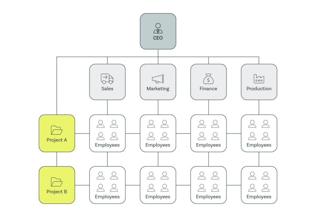 Example of a matrix organization