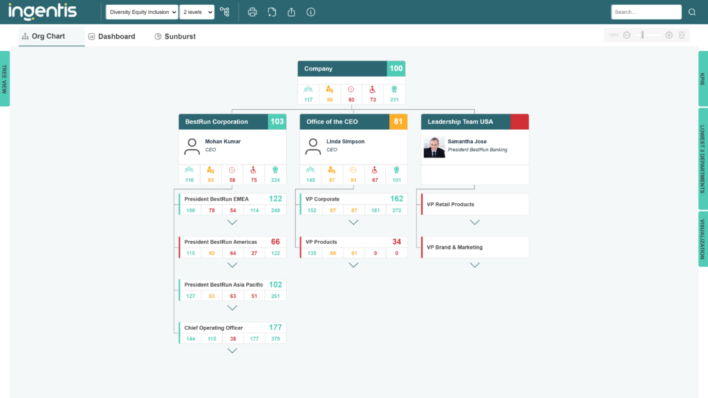 Organizational chart in the DEI Board with diversity indicators