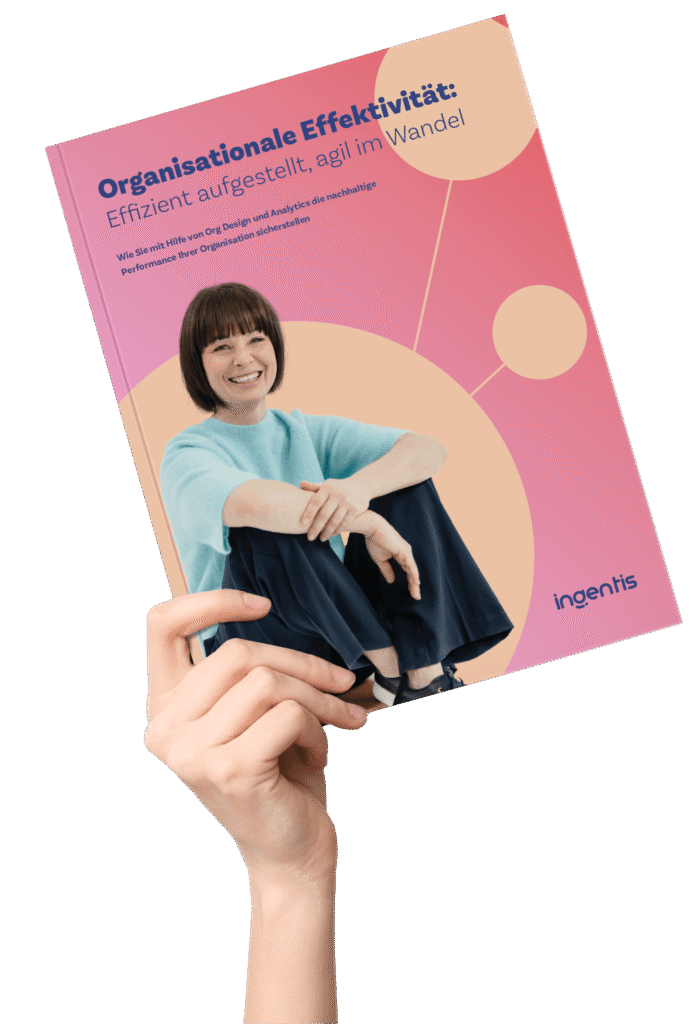 Ingentis – Organisationale Effektivität