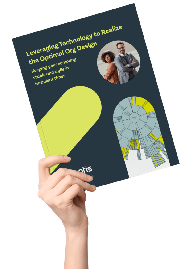 Ingentis Whitepaper Organisational Design