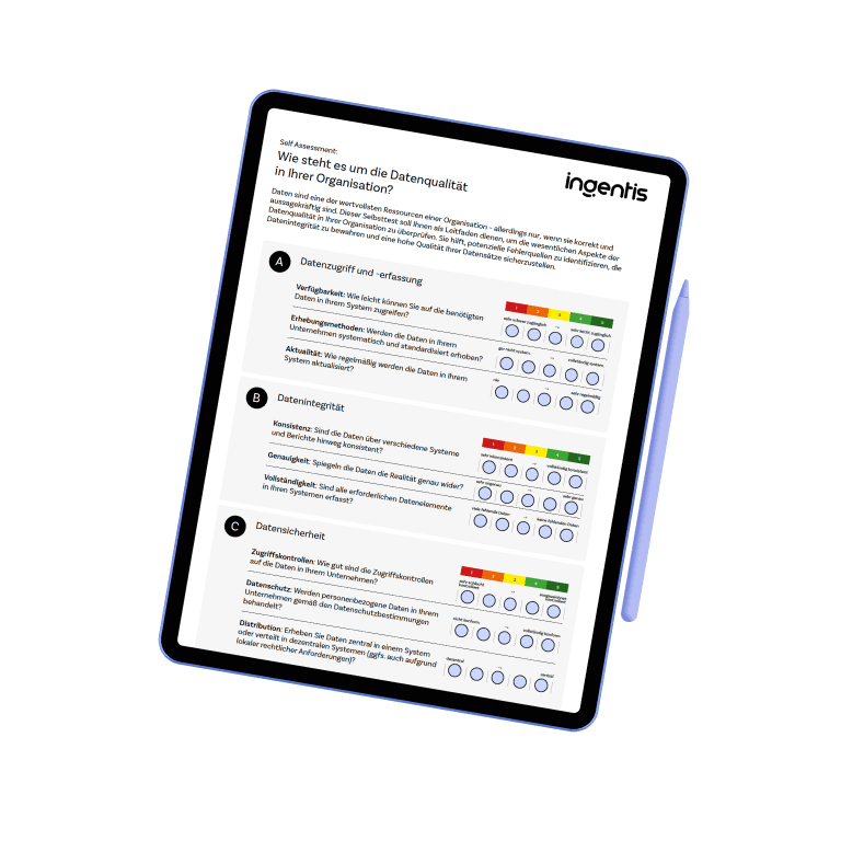Ingentis – Self Assessment Datenqualität