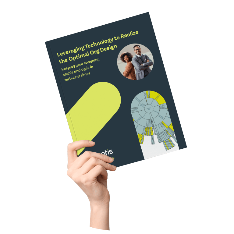 Ingentis - Using technology for optimal organizational design