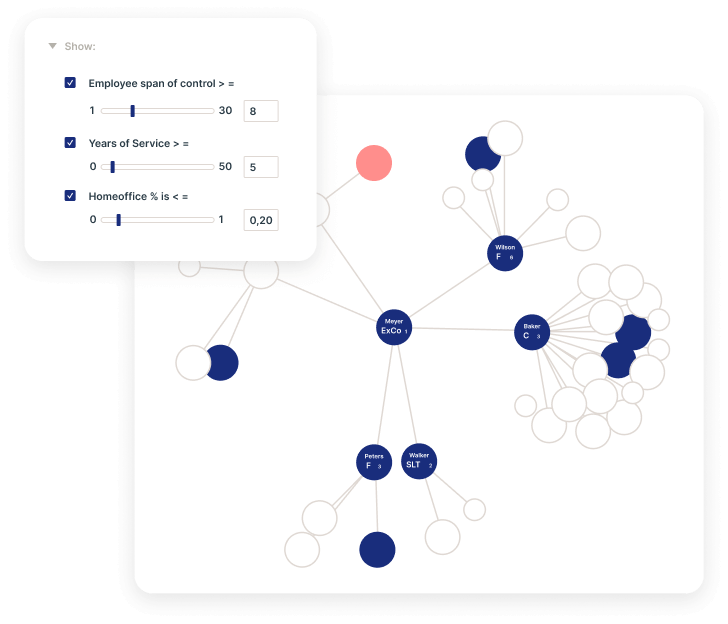 Ingentis Software Org Analytics