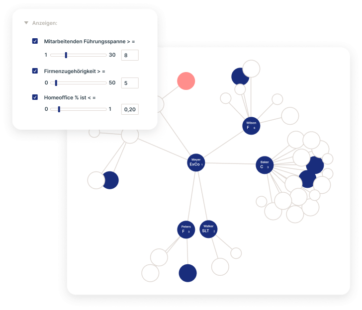 Ingentis Software Org Analytics