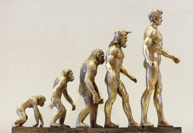 The evolution of the organizational chart