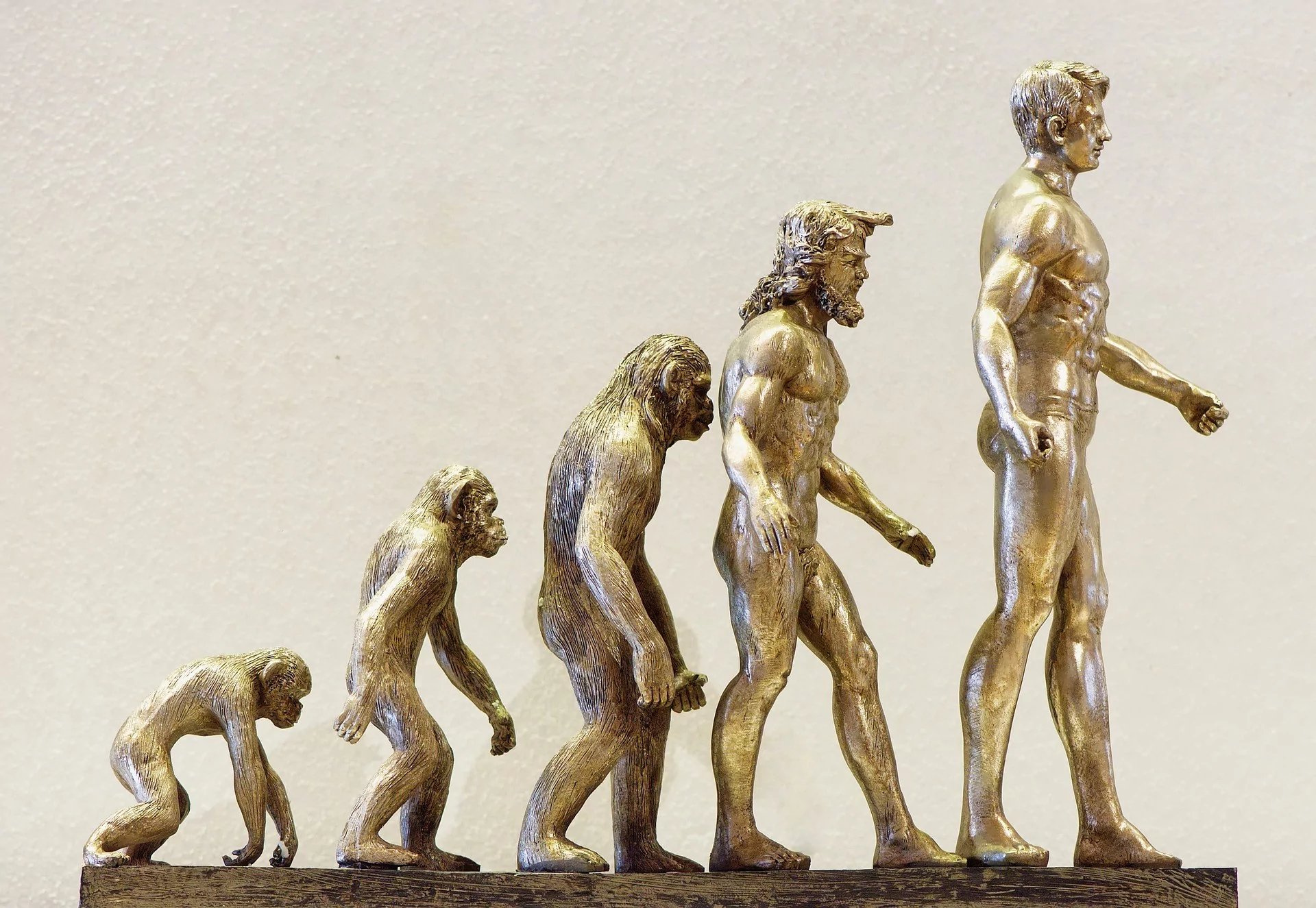The evolution of the organizational chart