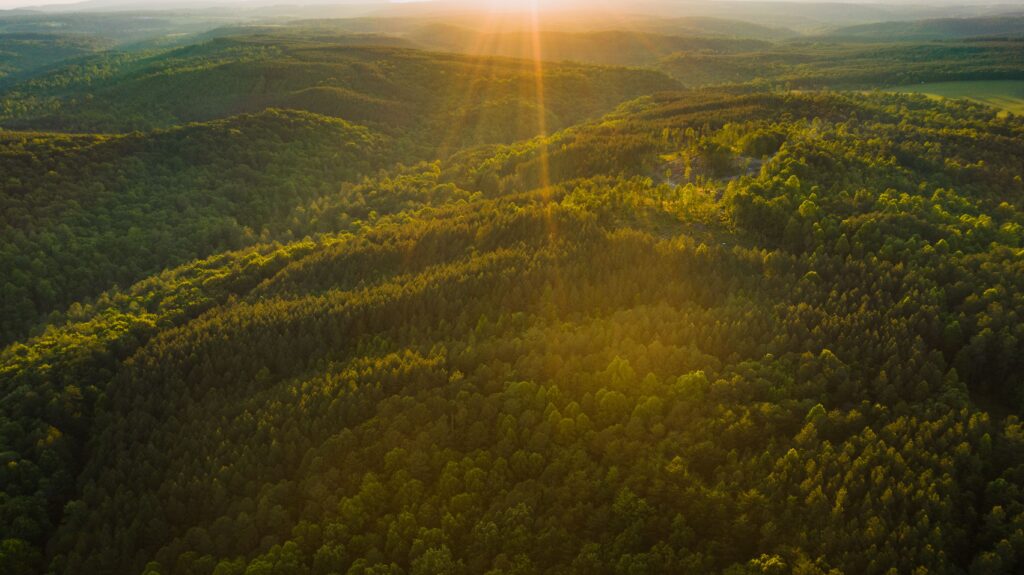 grüne Landschaft beim Sonnenaufgang
