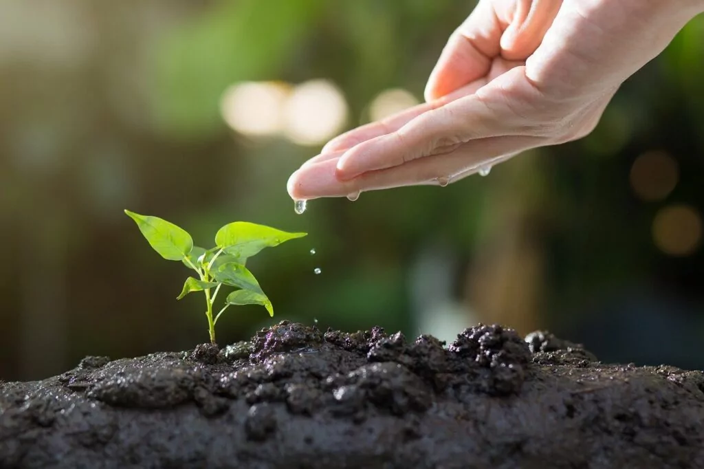 Ingentis improves ESG score
