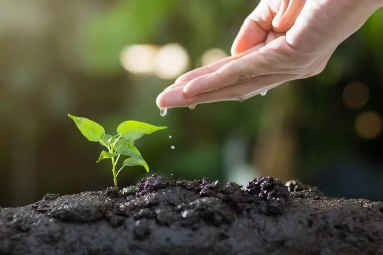 Ingentis verbessert ESG-Score